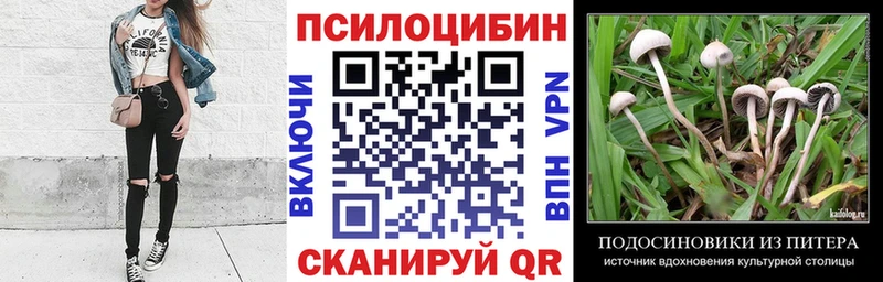 Галлюциногенные грибы прущие грибы  купить наркотик  Балахна 